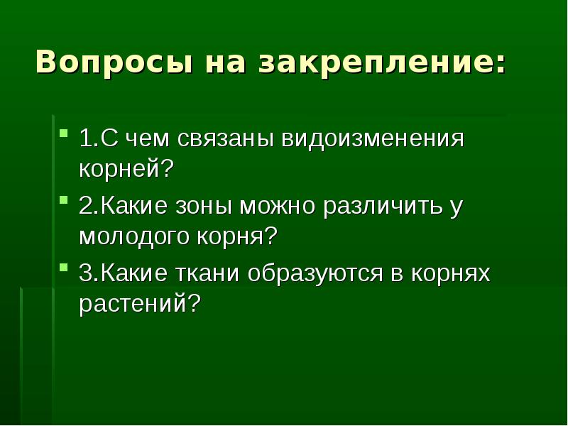 Видоизменение листьев у хвойных растений. С чем связаны видоизменения корня?.