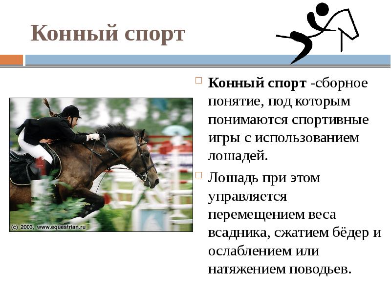 Вид конно. Конный спорт презентация. Конный спорт доклад. Доклад по конному спорту. Конный спорт проект.