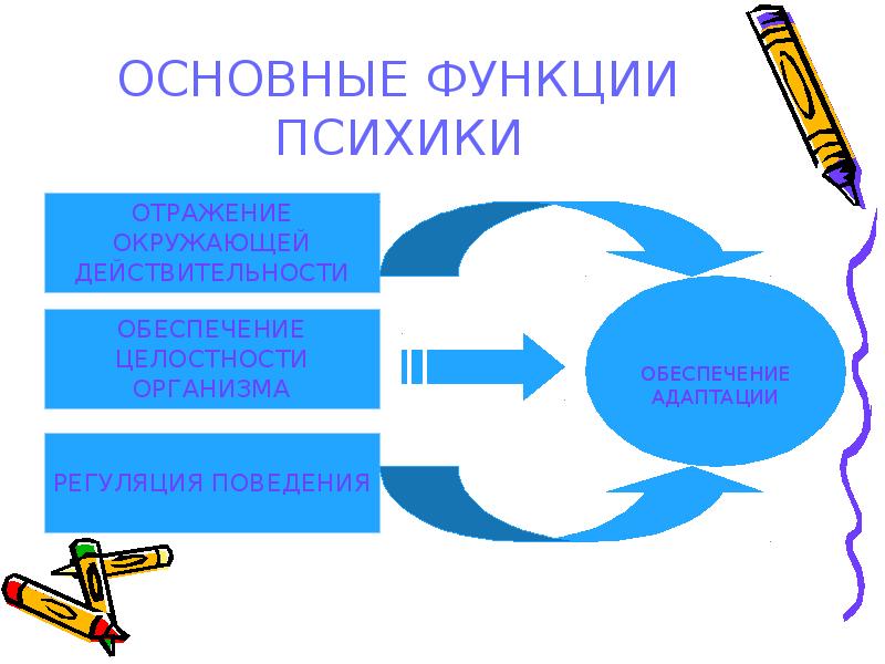 Основные функции психики презентация