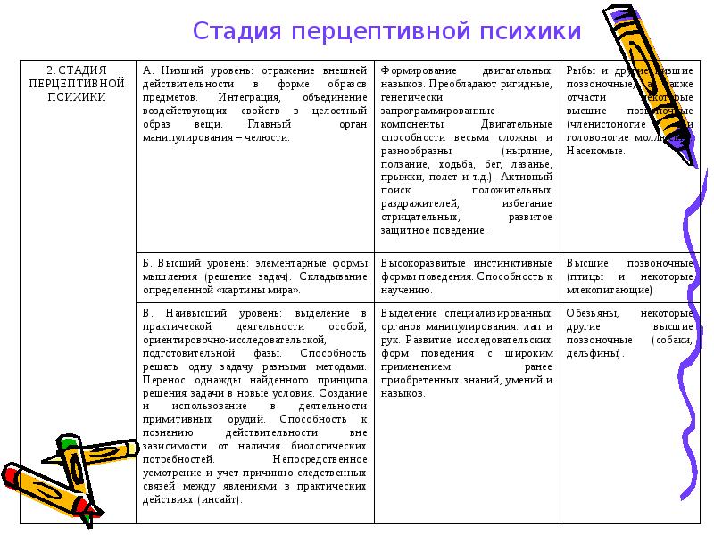 Презентация стадии развития психики