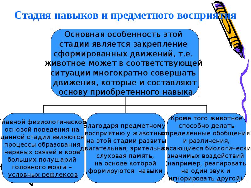 Навыки животных. Восприятие у животных. Схема процесса зрительного восприятия. Предметное восприятие у животных. Примеры восприятия.
