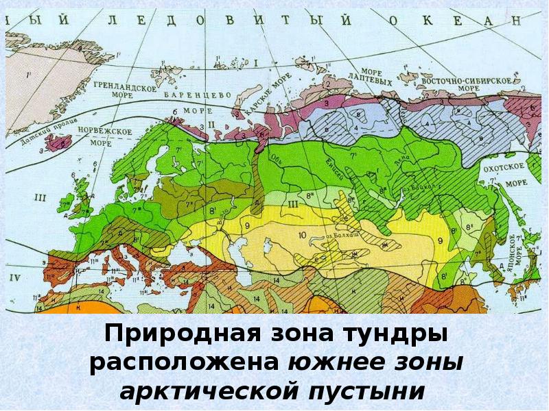 Какая природная зона самая. Тундра на карте природных зон. Тундра на карте России природных зон. Зона тундры расположена южнее. Название природной зоны тундры.