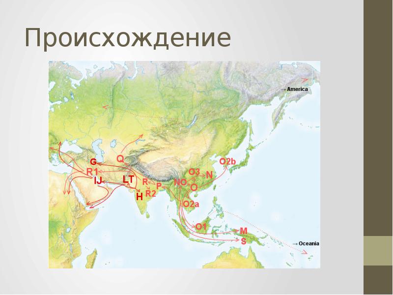 Европеоидная раса презентация