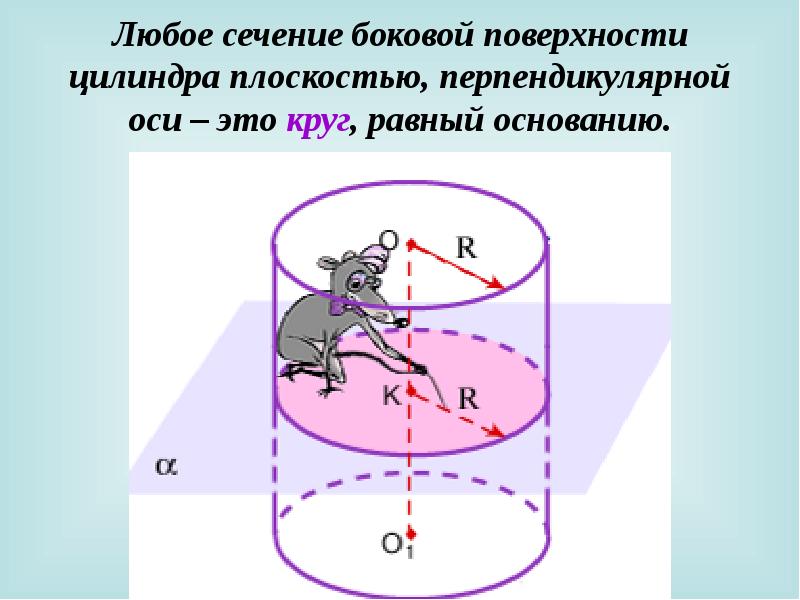 На рисунке изображен круговой цилиндр сопоставьте элементы рисунка с их названиями