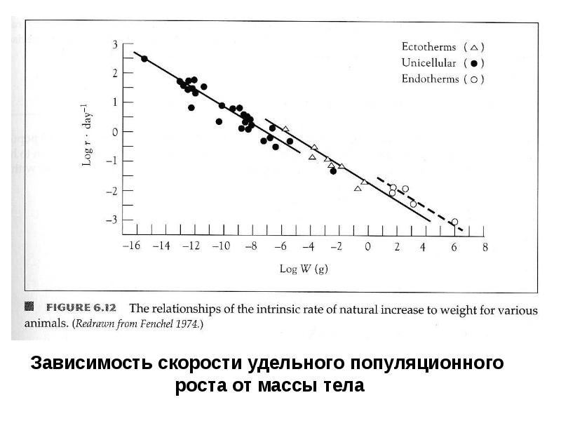 Как зависит скорость от массы тела. Зависимость массы от скорости. Зависимость массы тела от скорости. Принципы популяционной динамики. Удельный рост.