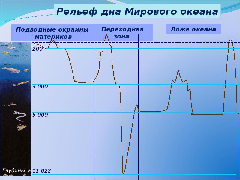 Рельеф мирового океана