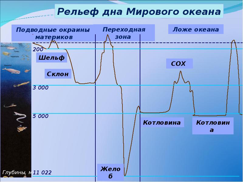 Нарисовать рельеф дна океана