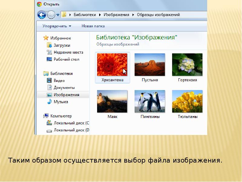 Выберите файл изображения. Образцы изображений Windows 7. Картинка выбрать файл. Изображение файла. Выберите файл картинка.