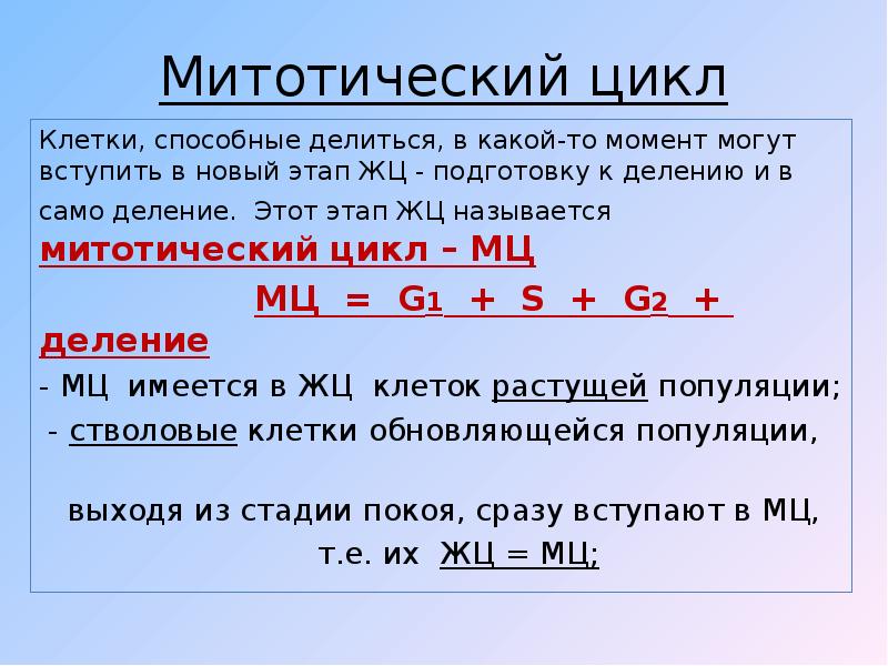 Само деление. Митотический индекс. Митотический индекс тканей. Митотический коэффициент. Формула митотического индекса.