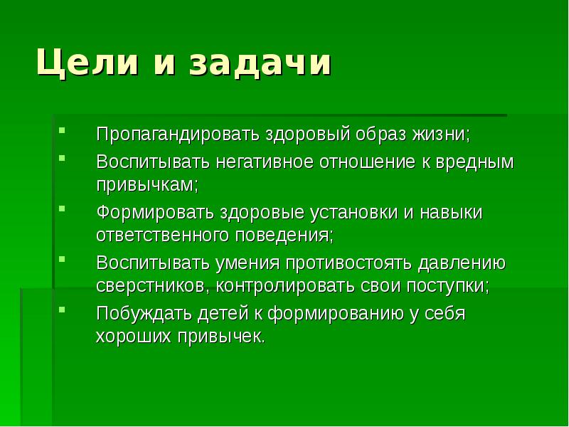 Цель проекта зож