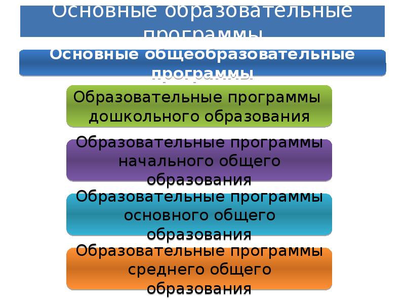 Образование видов презентация. Укажите ваше основное образование*.