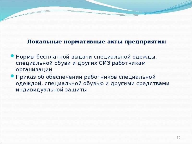 Локальный нормативный акт утверждающий нормы бесплатной выдачи сиз образец