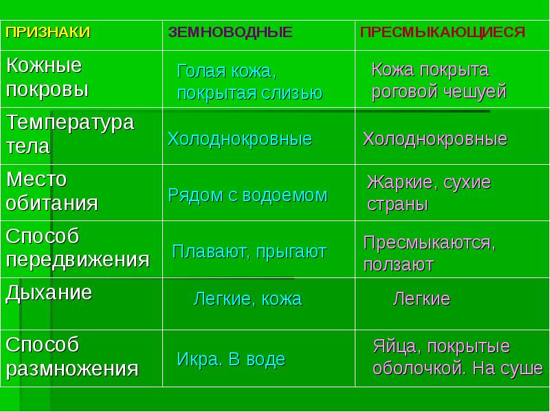 Отличие пресмыкающихся. Отличие пресмыкающихся от земноводных. Признаки земноводных и пресмыкающихся. Пресмыкающиеся рептилии отличаются от земноводных. Признаки земноводных и рептилий.