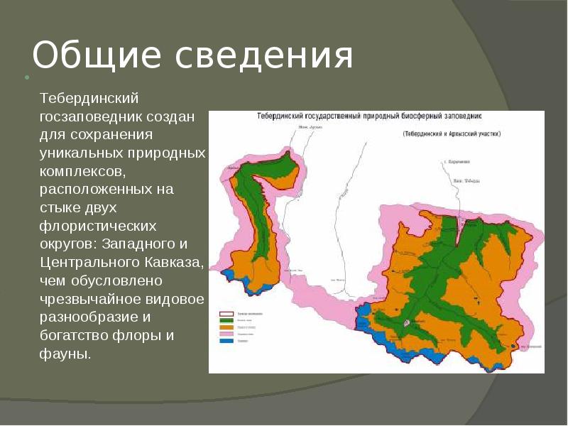 Проект тебердинский заповедник 4 класс