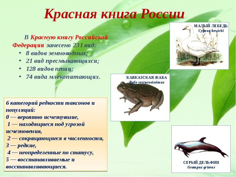 Суть красной книги