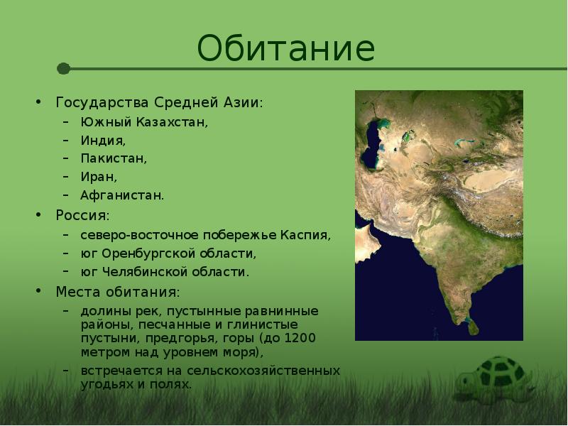 Азия доклад. Презентация на тему Азия. Сообщение по Азии. Доклад про Азию. Места обитания черепахи среднеазиатской на карте.