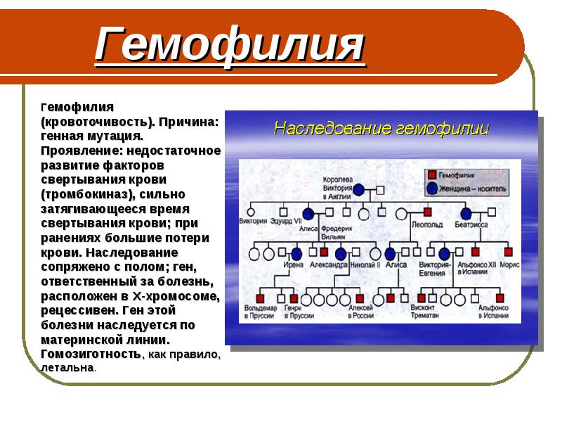 Гемофилия типа а. Гемофилия генная мутация. Гемофилия факторы свертывания.