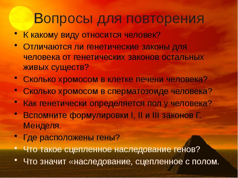 Генетические вопросы. К какому виду относится человек. Относитесь к людям. Кем является человек. К какому классу относится человек.