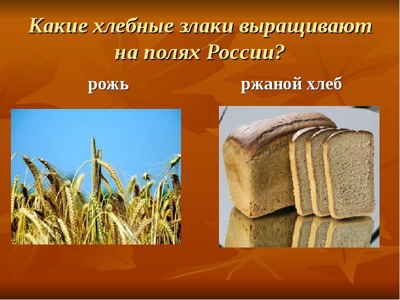 Из каких культур делают хлеб