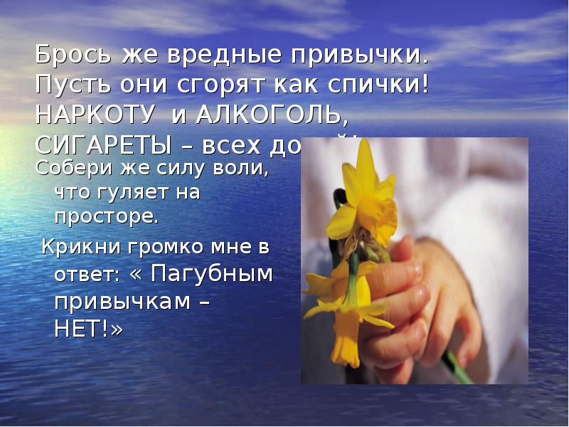 Значение ответа брось. Привычки как спички. Вредные привычки пусть горят как спички. Пусть будет привычку. Алис песня я к тебе как спичка снова мы привычки.