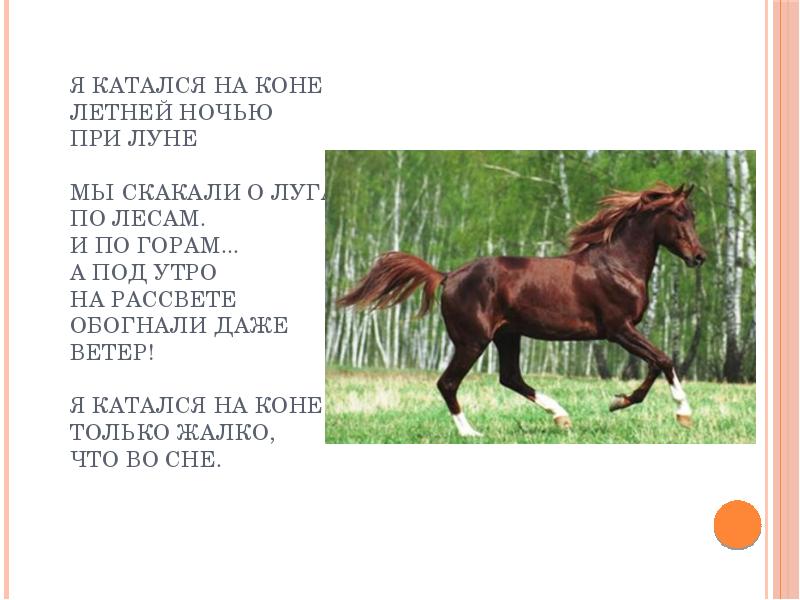 Слово канувшее в лета. Слезы лошади катятся. Лошадь краткое описание. Скачущий лошади морфологический. По лугу скачет конь схема предложения.