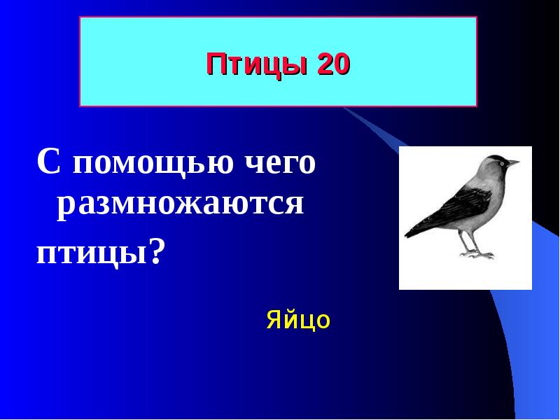 Размножение птиц 7 класс биология. С помощью чего размножаются птицы. 20 Птиц. Презентация размножение птиц 7 класс биология.