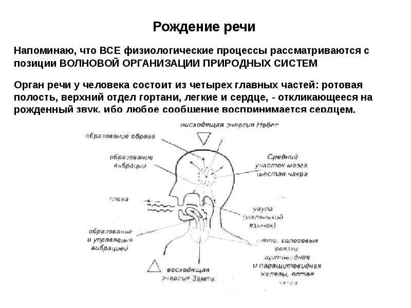 Рождение речи