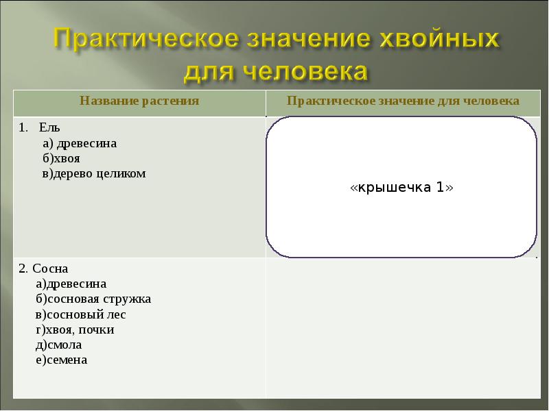 Что значит хвоя