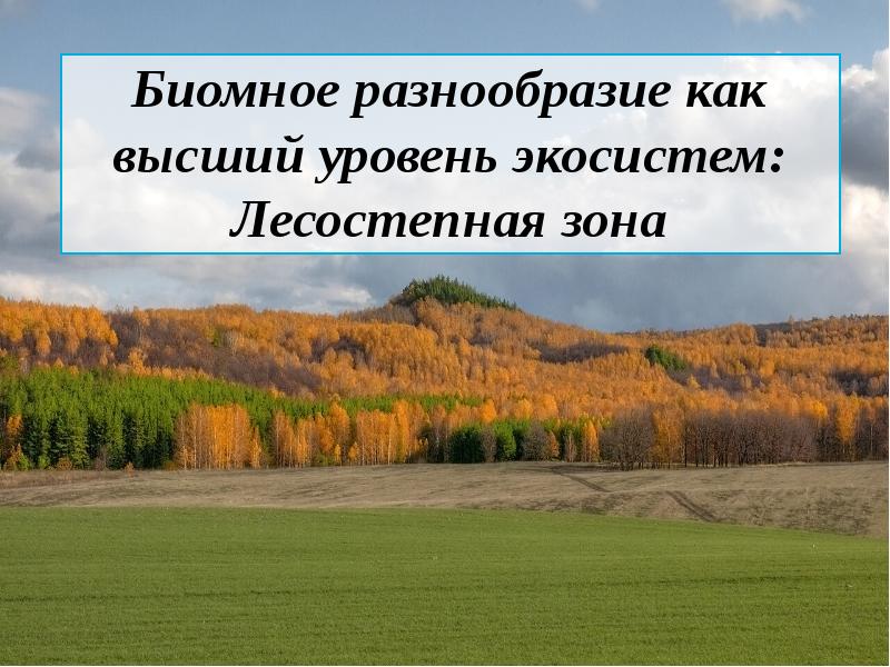 Как разнообразить презентацию