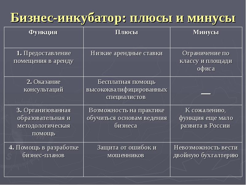 Бизнес план инкубатора