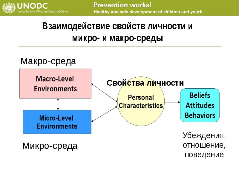 Микро и макро факторы