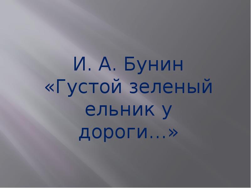 Густой зеленый ельник у дороги бунин презентация