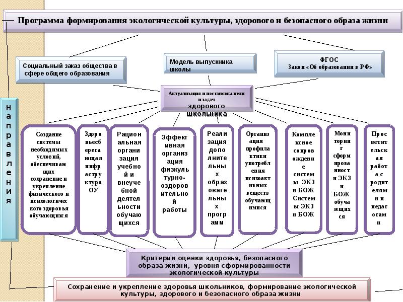 Программа развития класса