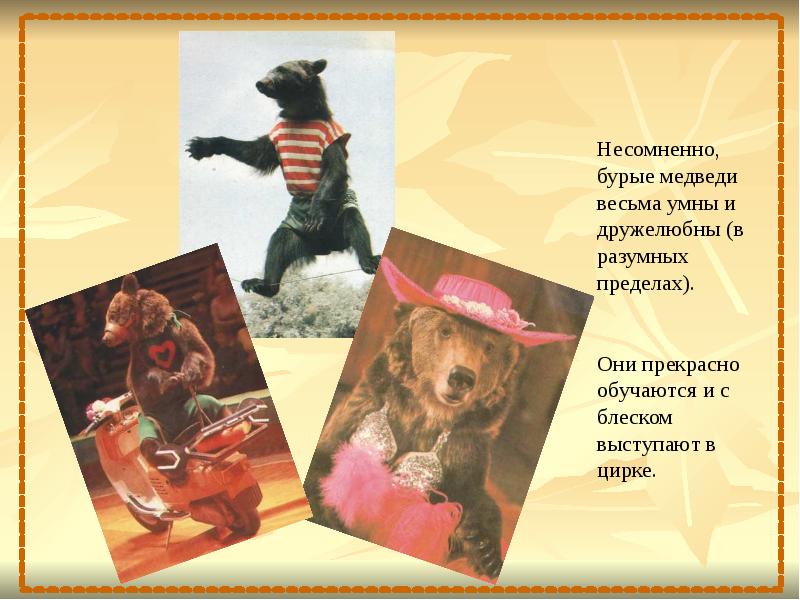 Сочинение про цирк. Цирк это вид искусства. Почему такие сильные звери слушаются дрессировщика. Детский рассказ про цирк. Сочинение как я был в цирке.