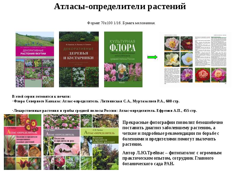 Атлас определитель растений 3. Атлас определитель лекарственных растений. Атлас определитель растений России. Определитель растений и животных книга. Определитель растений программа.