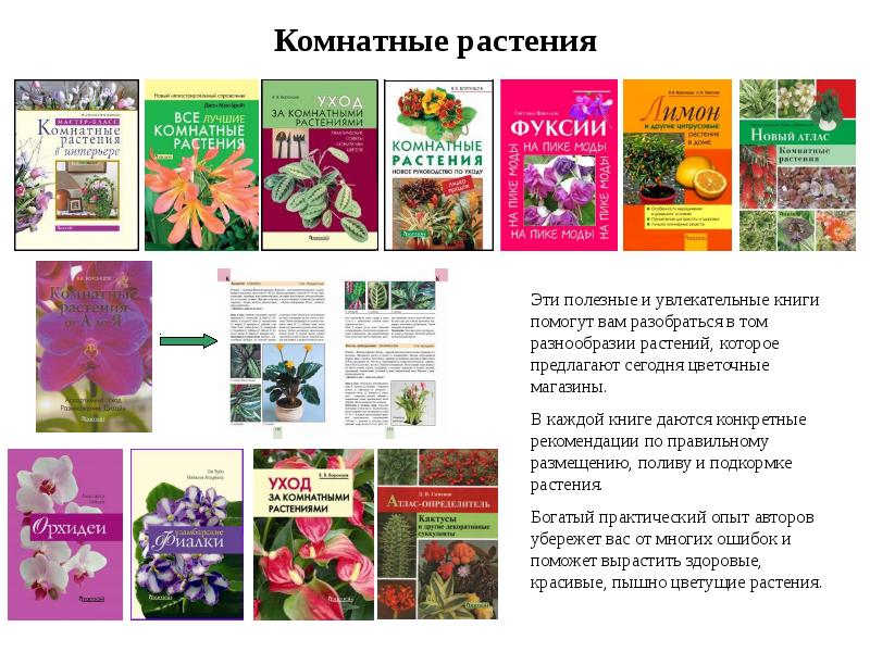 Май богат. Книги о комнатных растениях. Бизнес план по цветоводству. Тест по цветоводству. Цветы для Москвы атлас растений.