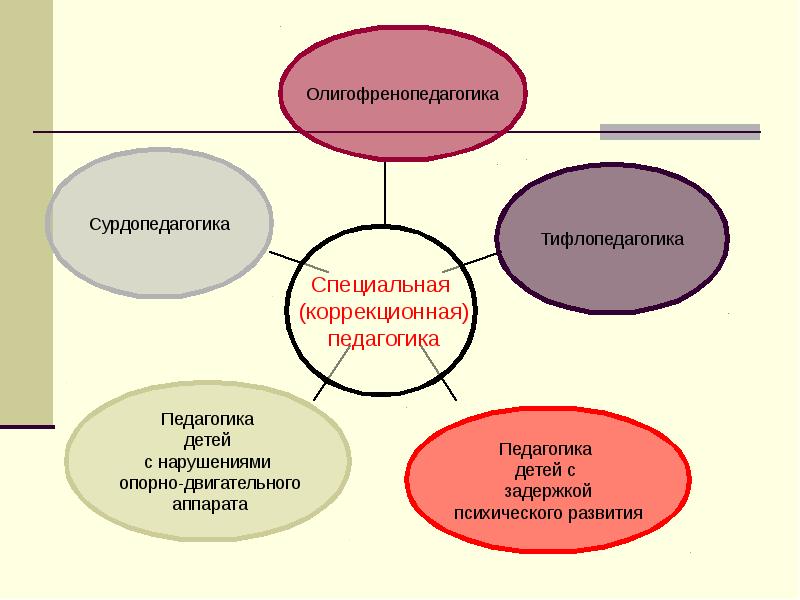 Проект по коррекционной педагогике