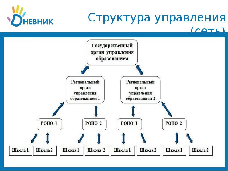 Сетевые структуры управления презентация