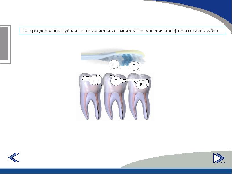 Профилактика кариеса презентация