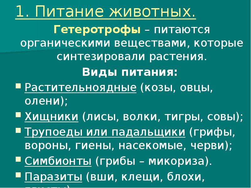 Презентация про питание животных