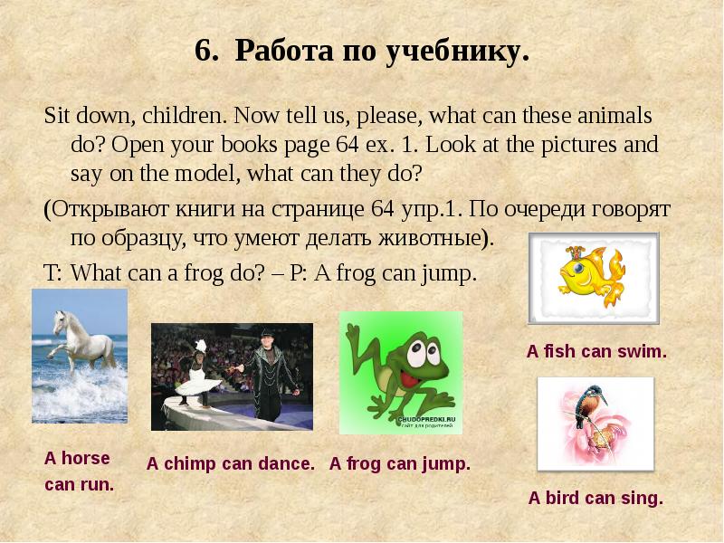 What can animals do презентация