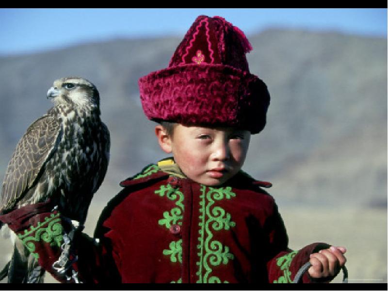 Казах с беркутом. Дети беркутов. Кыргыз с беркутом. Орлы мультяшные. Беркутчи монголия.