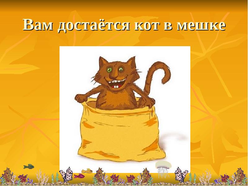 Кот в мешке картинка пнг