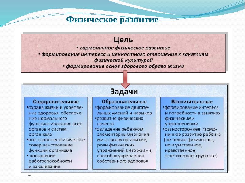 Блочно модульная модель представлена в проекте общеобразовательной программы дошкольного образования