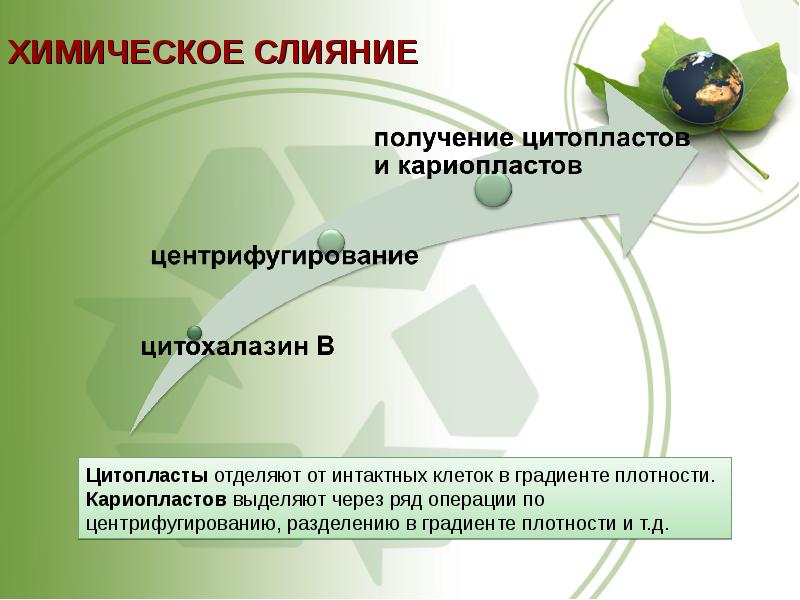 Основы биотехнологии презентация