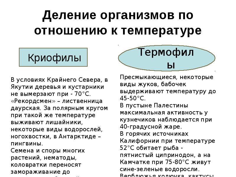 Делимое тело. Криофилы и термофилы. Криофилы животные примеры. Криофилы и термофилы примеры. Отношение организмов к температуре.