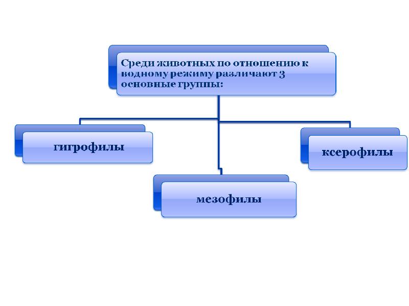 Животные гигрофилы примеры