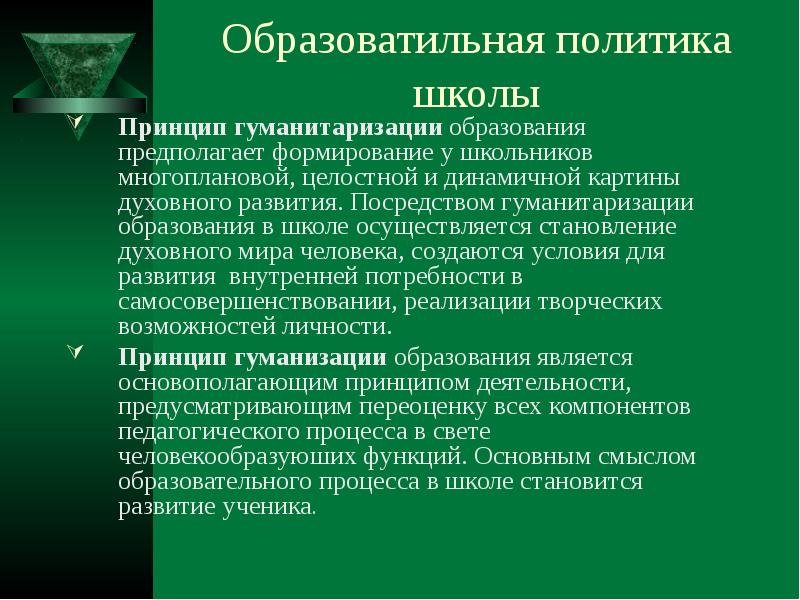 В школе осуществляется. Процесса гуманитаризации образования. Принцип гуманитаризация образования. Принципы гуманизации и гуманитаризации. Гуманитаризация образования это в педагогике.