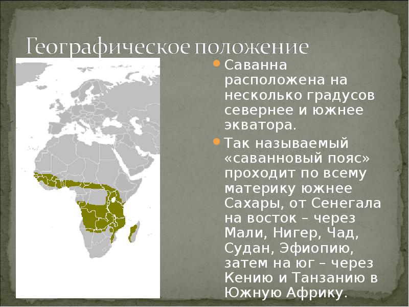 Саванна презентация 6 класс