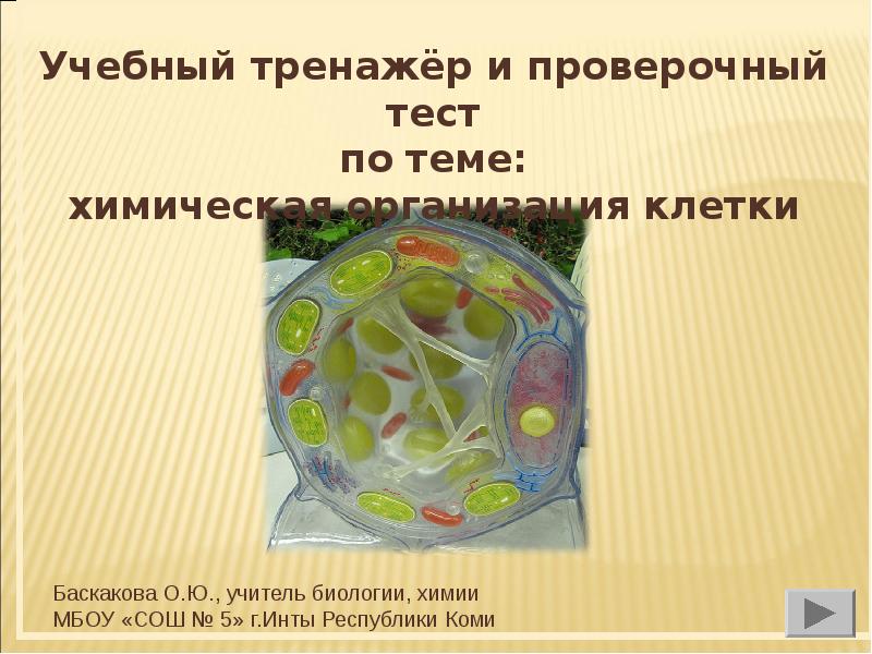 Проверочная работа по теме химический состав клетки. Тест по теме клетка. Строение клетки тест. Тест по теме химическая организация клетки. Проверочная тема клетка.